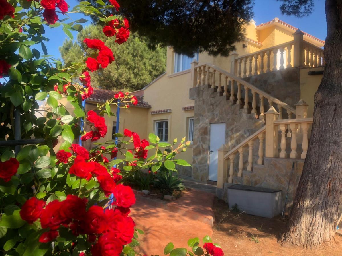 Villa Eliza Dénia Buitenkant foto